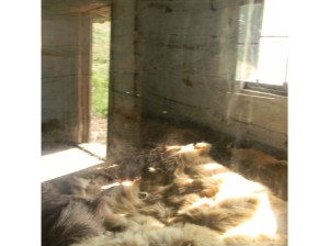 fur trade post living quarters